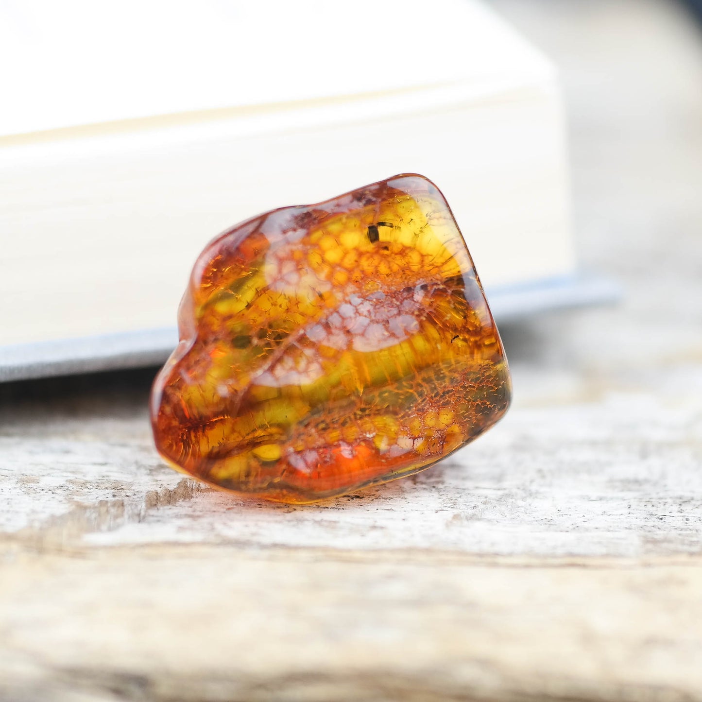 Natural Baltic amber stone with fly inclusion