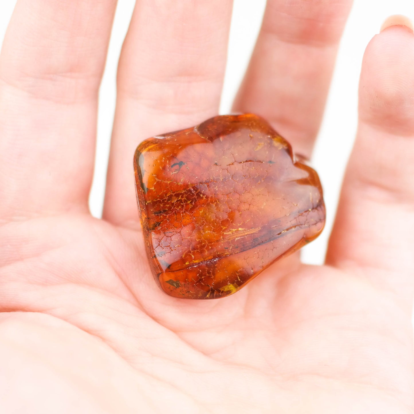 Natural Baltic amber stone with fly inclusion