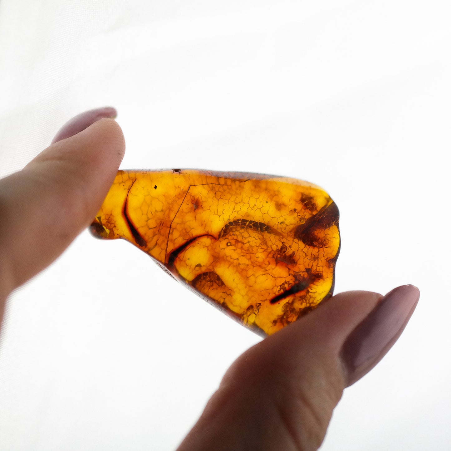 Natural Baltic amber stone