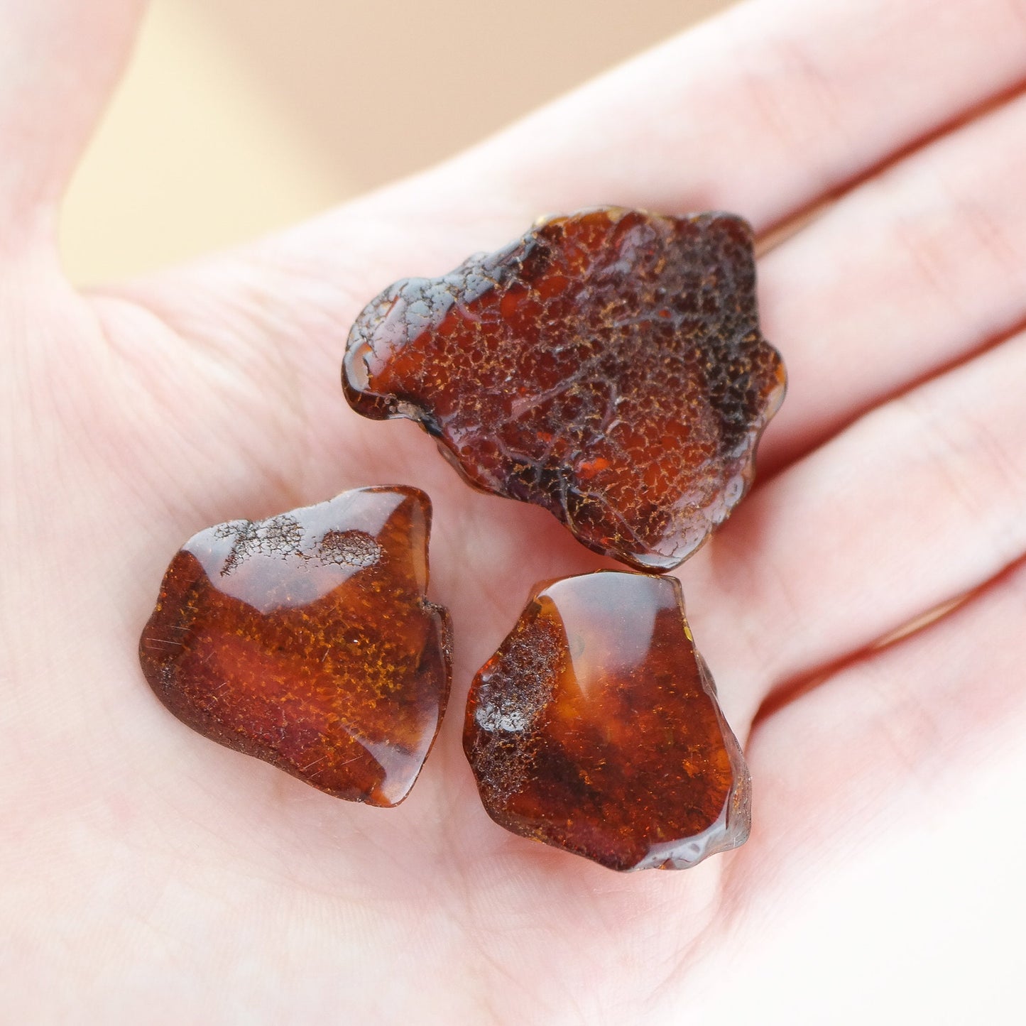 Set of natural Baltic amber pieces