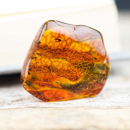 Natural Baltic amber stone with fly inclusion