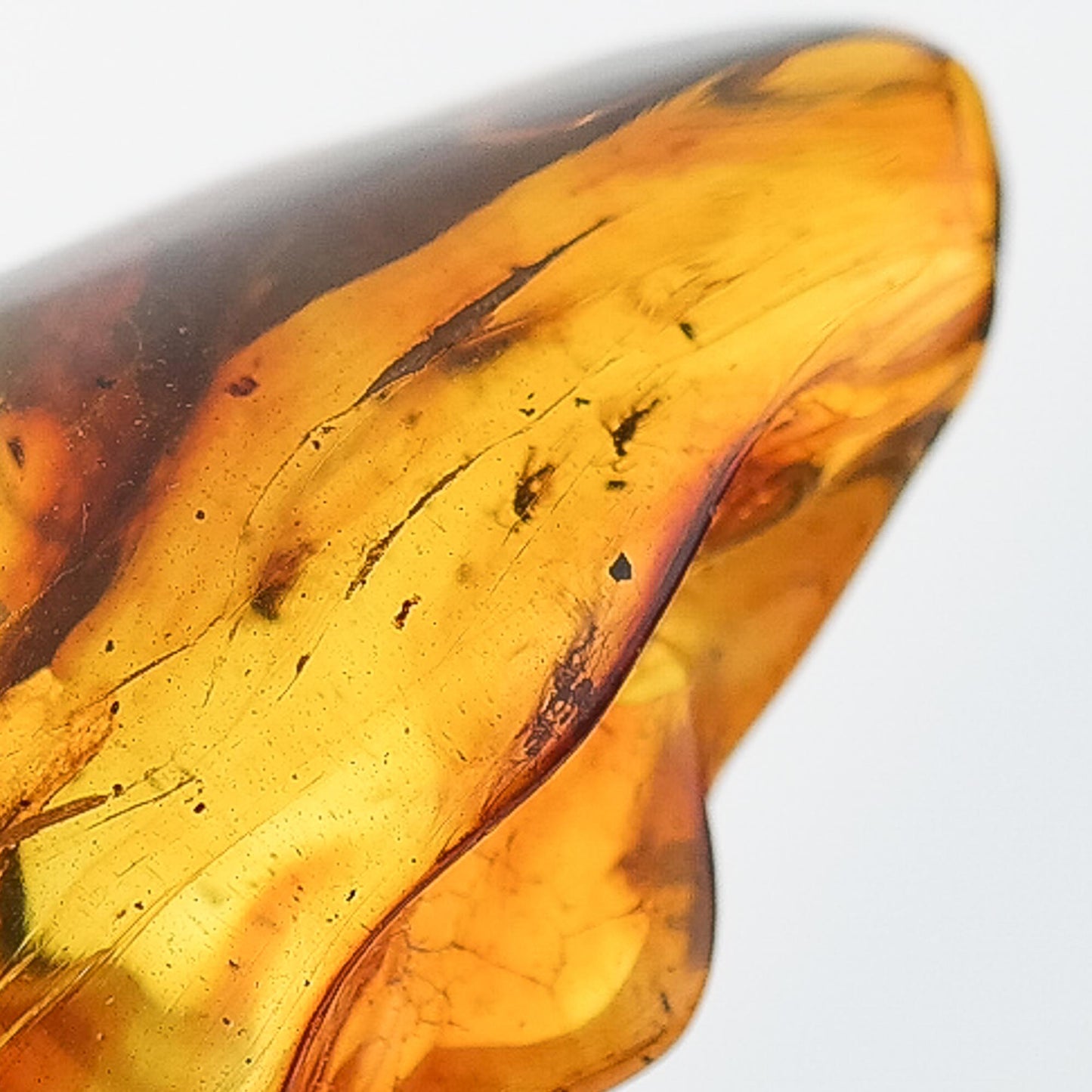 Unique natural Baltic amber stone with few fly inclusions