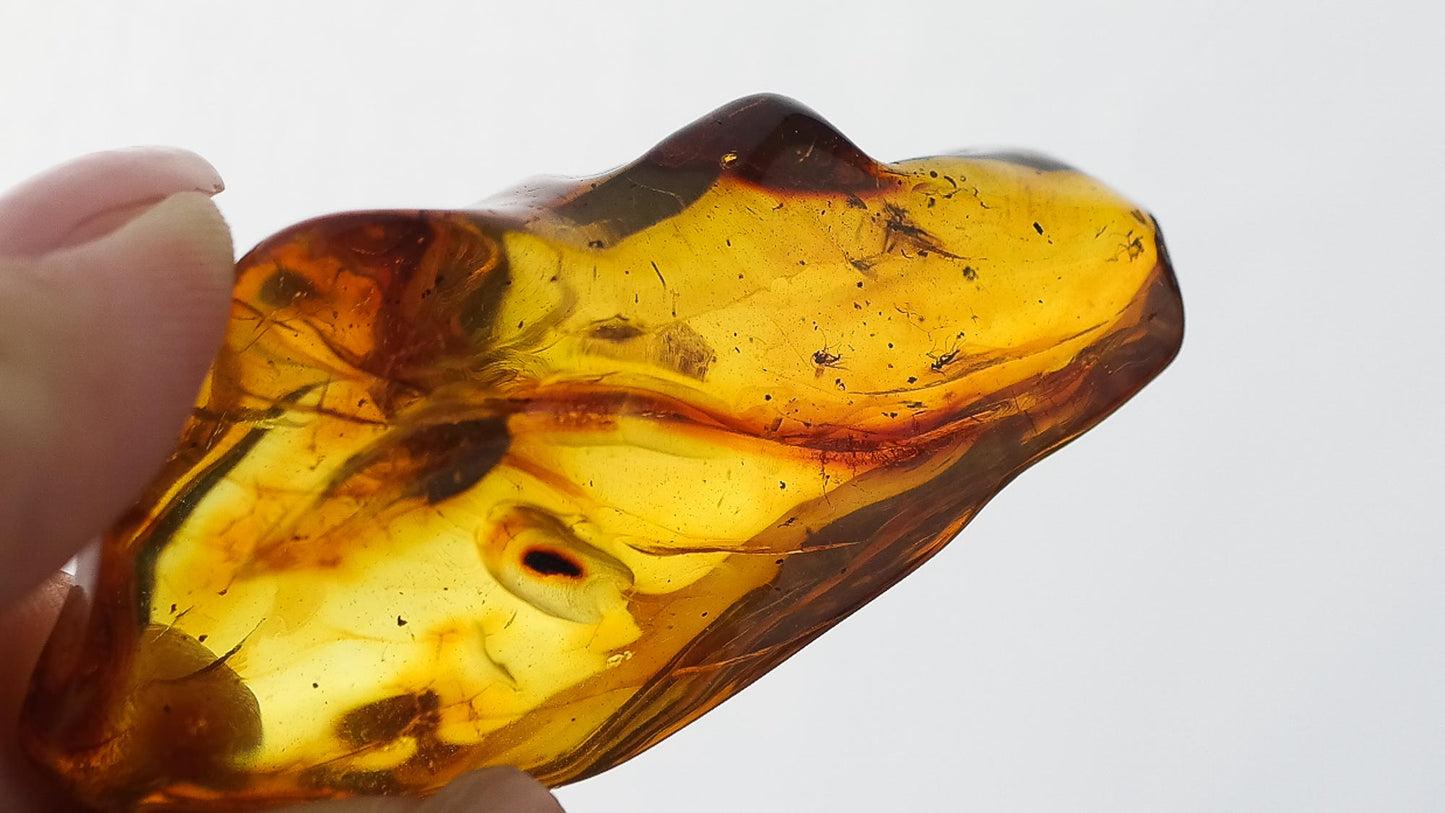 Unique natural Baltic amber stone with few fly inclusions