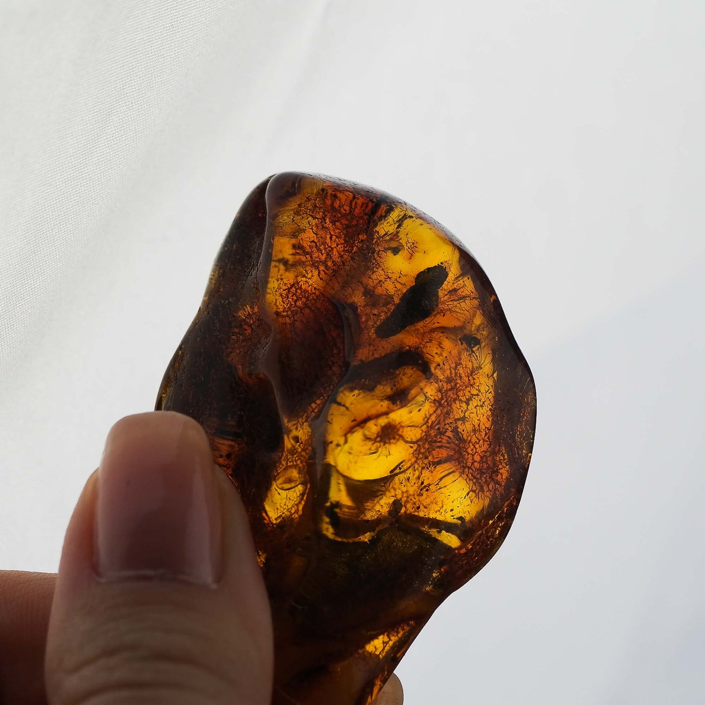 Natural Baltic amber stone