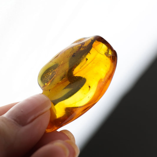 Natural Baltic amber stone with inclusions