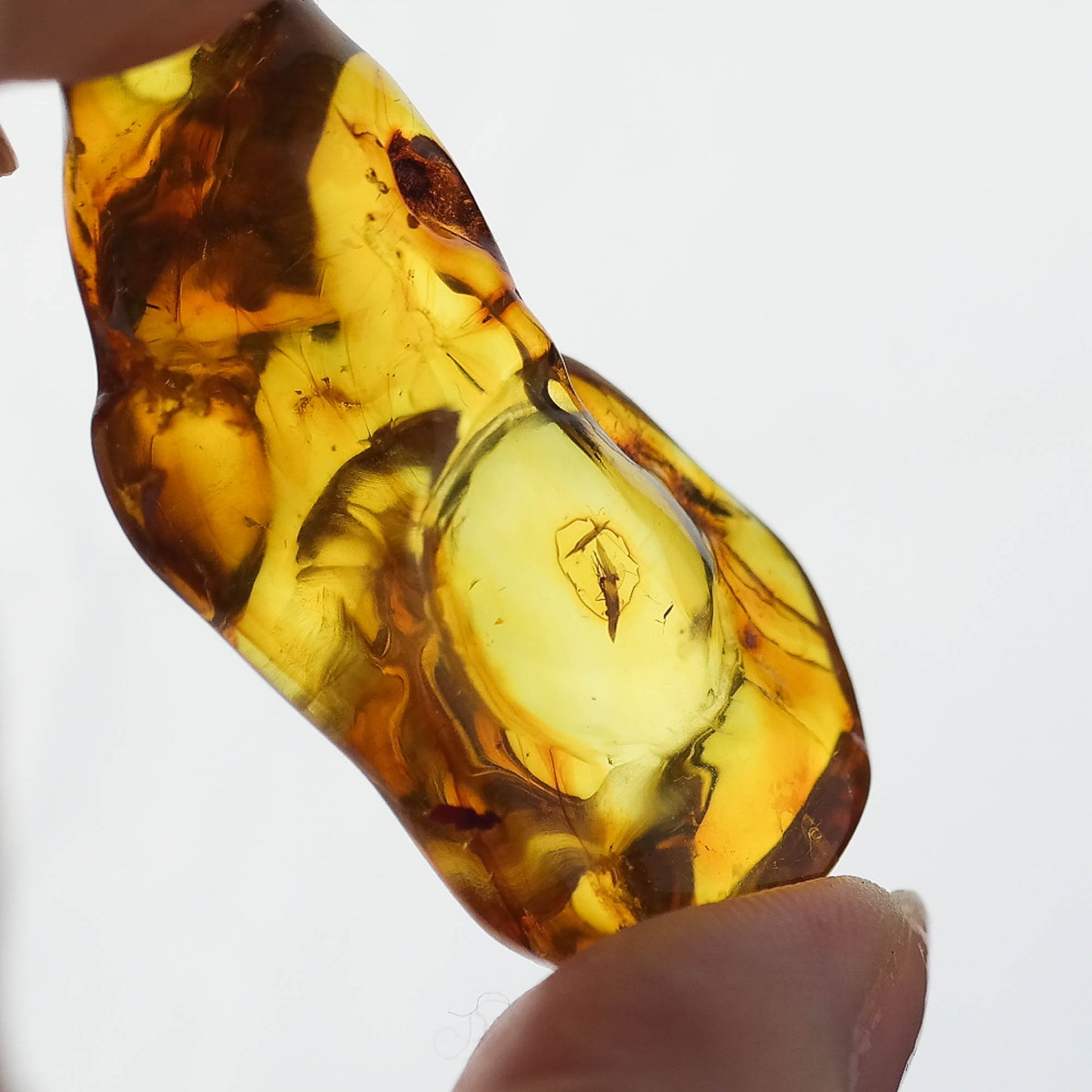 Unique natural Baltic amber stone with inclusion