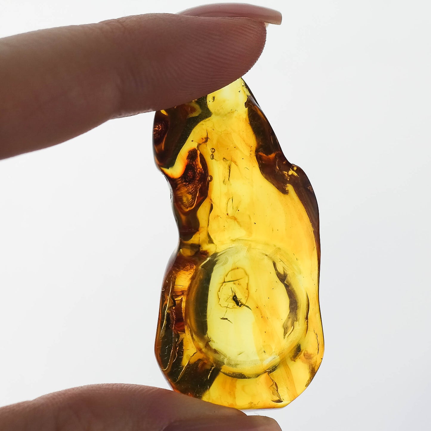 Unique natural Baltic amber stone with inclusion