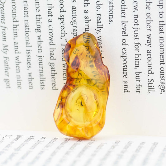 Unique natural Baltic amber stone with inclusion