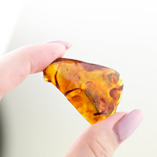 Natural Baltic amber stone