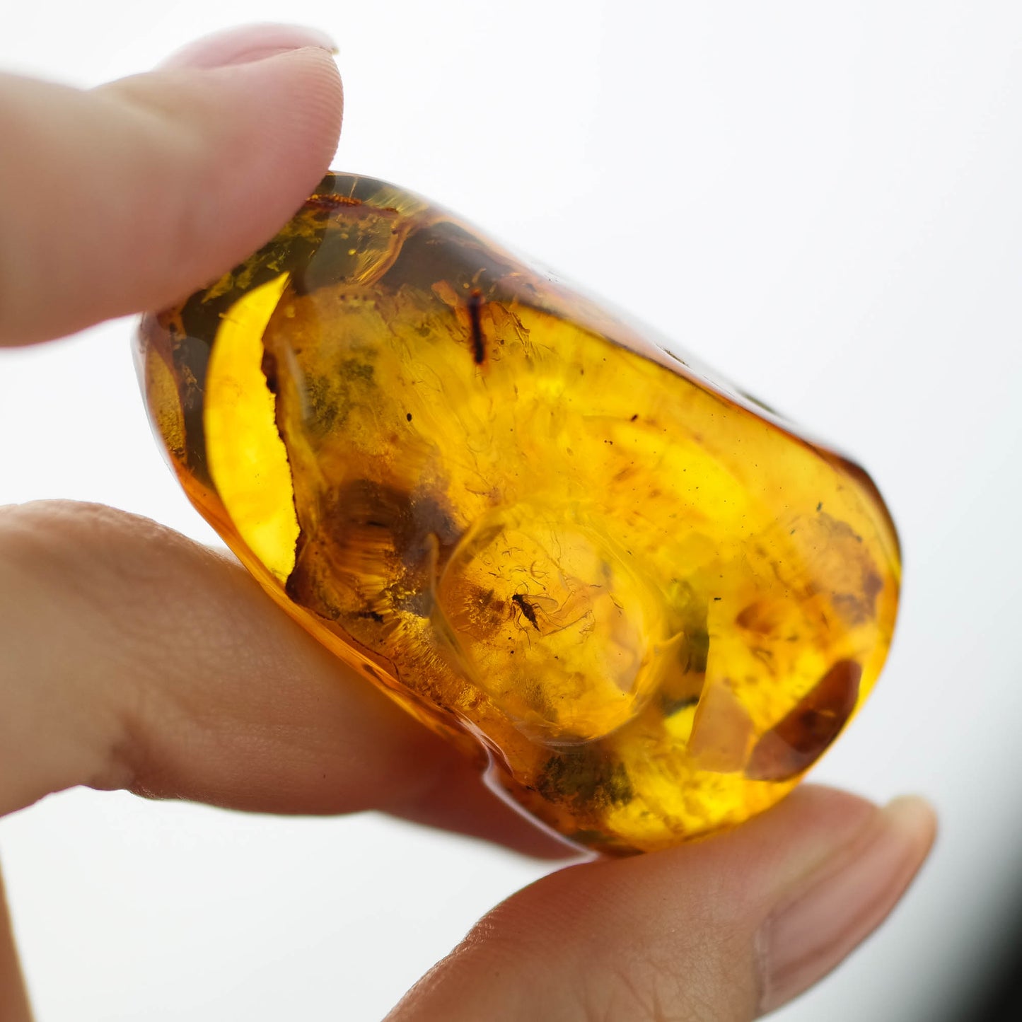 Unique natural Baltic amber stone with fly inclusion