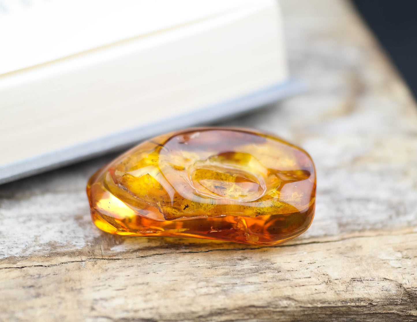 Unique natural Baltic amber stone with fly inclusion