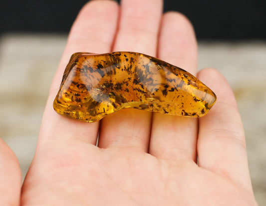 Natural Baltic amber stone