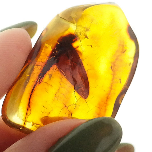 Amber stone with large inclusion